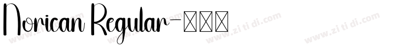 Norican Regular字体转换